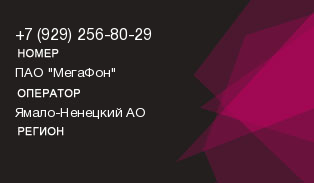 9292568029